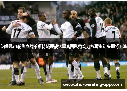 英超第21轮焦点战莱斯特城迎战水晶宫两队势均力敌精彩对决即将上演